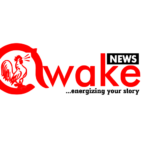 Awake News logo