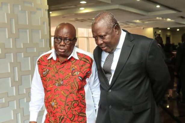 Martin Amidu and Nana Addo