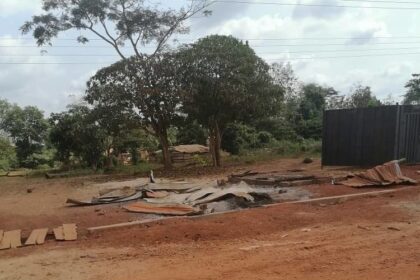 District Forestry Commission under attack