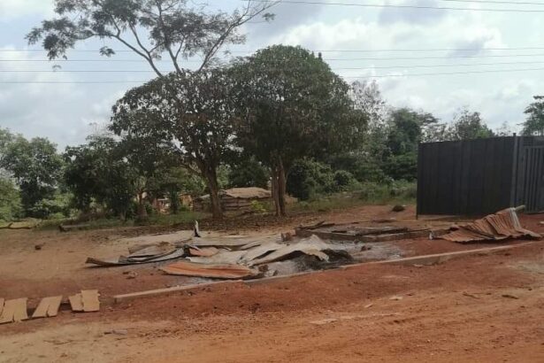 District Forestry Commission under attack