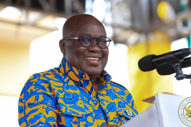 President Akufo-Addo