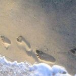 Footprint