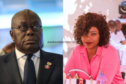 Zeinab Alhassan and Nana Addo
