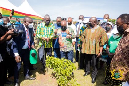 Akufo Addo