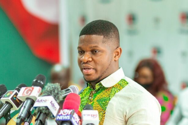 Sammy Gyamfi - National Communication Officer, NDC
