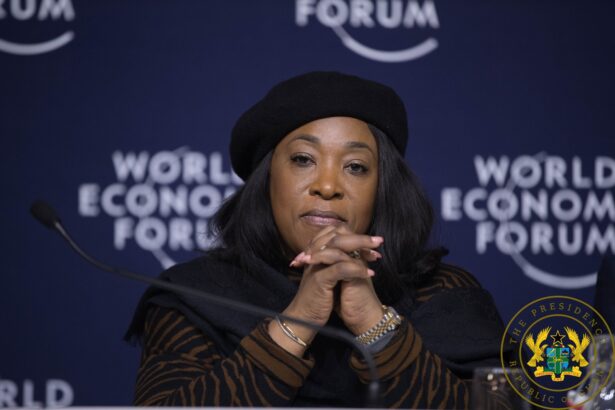 Mrs Shirley Ayorkor Botchwey - Minister for Foreign Affairs and Regional Integration