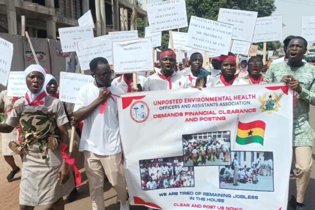 Unemployed Environmental Health Officers protesting over their neglect