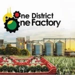 One District One Factory