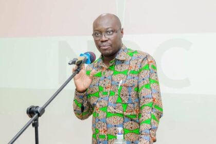 Cassiel Ato Forson, Minority Leader