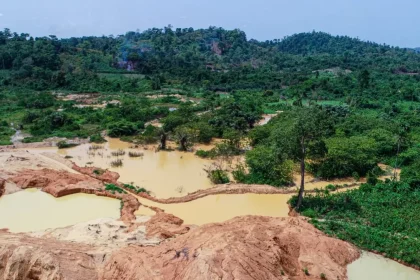 galamsey on a cocoa farm