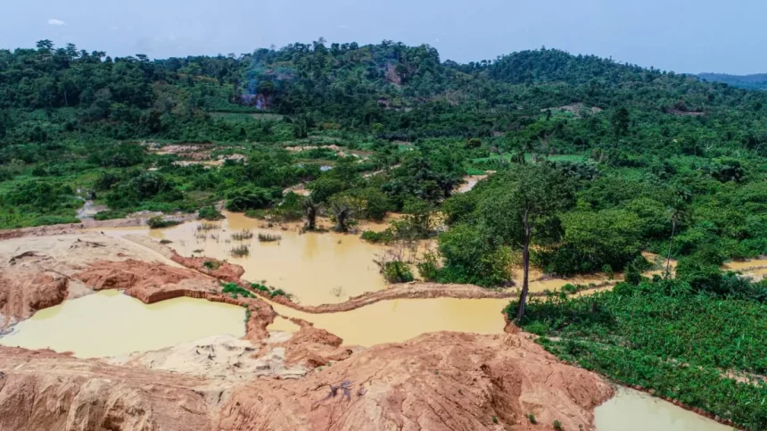galamsey on a cocoa farm