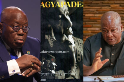 Akuffo-Addo has implemented everything in agyapadie book - Mahama