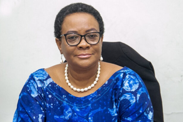 Mary Awelana Addah on NPP manifesto