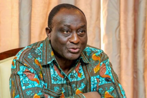 Alan Kyerematen backs NDC claim for forensic audit of the voters' register
