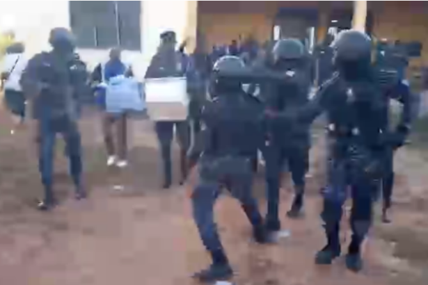 NPP Walewale primaries