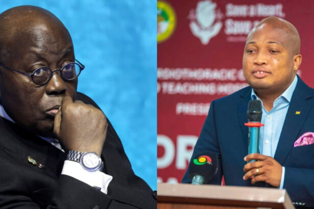 Nana Addo, Ablakwa